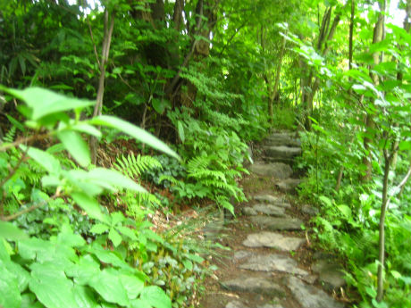 登山道