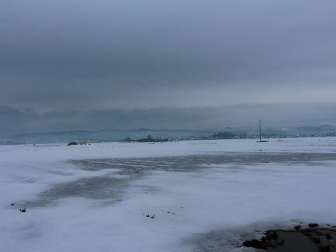 雪景色