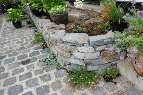 ガーデンアプローチ は ヨーロッパアンティークな敷石 にガーデンリフォーム画像 四季のmyガーデン