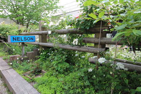 ネルソンの庭１