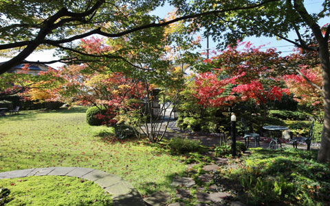 美しい紅葉と芝生の和風庭園 画像 四季のmyガーデン