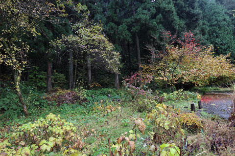 下田の森美術館