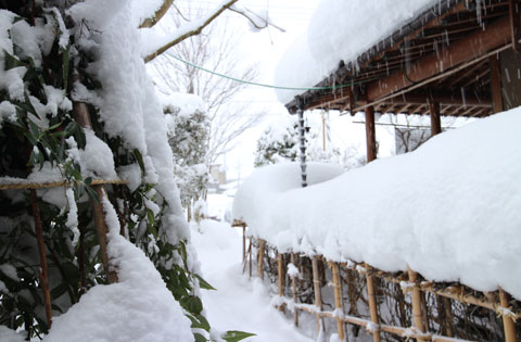 雪降り