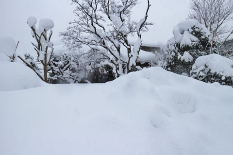 ガーデンは雪