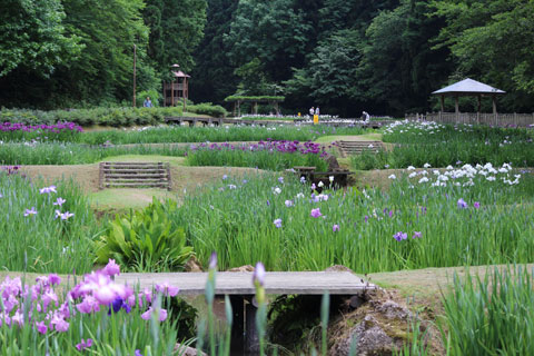 しらさぎ森林公園１