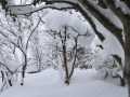 豪雪の庭