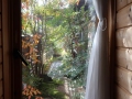 窓から眺める庭